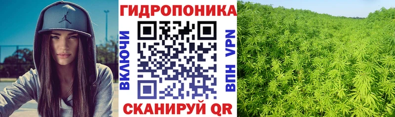 Бошки Шишки сатива  Протвино 